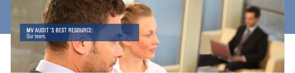 MV AUDIT auditoría