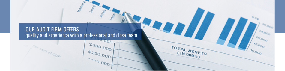 MV AUDIT auditor�a